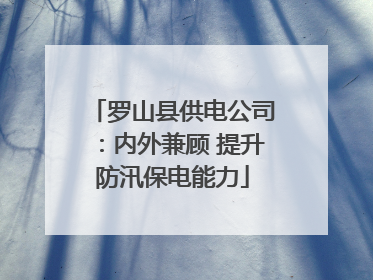 罗山县供电公司：内外兼顾 提升防汛保电能力